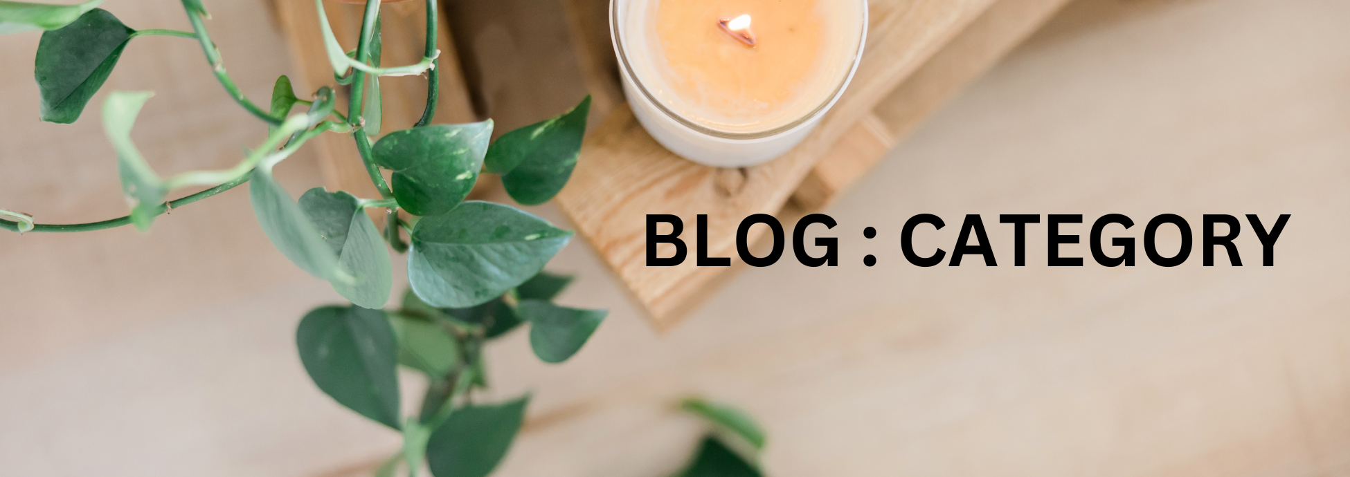 Blog - The Healing Bliss