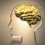 Prioritize brain health: Expert tips to lower Alzheimer’s risk and boost cognitive function